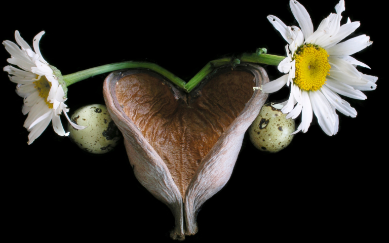 Riflessologia plantare utero e ovaie