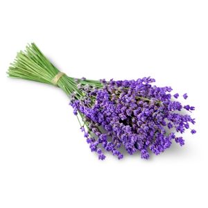 Oli essenziali proprietà terapeutiche