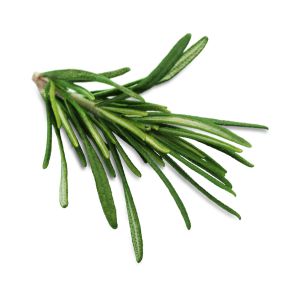 Oli essenziali proprietà terapeutiche