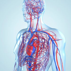 Pressoterapia per pancia e fianchi