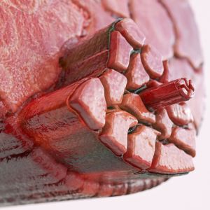 Massoterapia per tonificazione