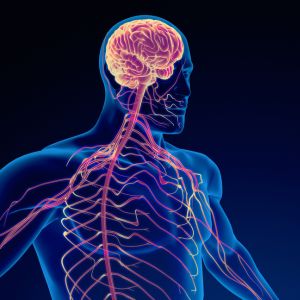 Massoterapia Olistica