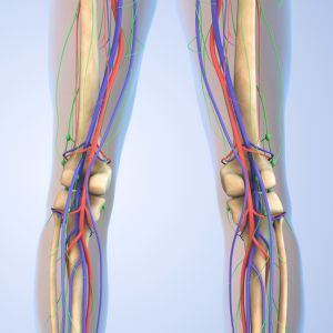 Gambe pesanti, vene evidenti e gonfiore