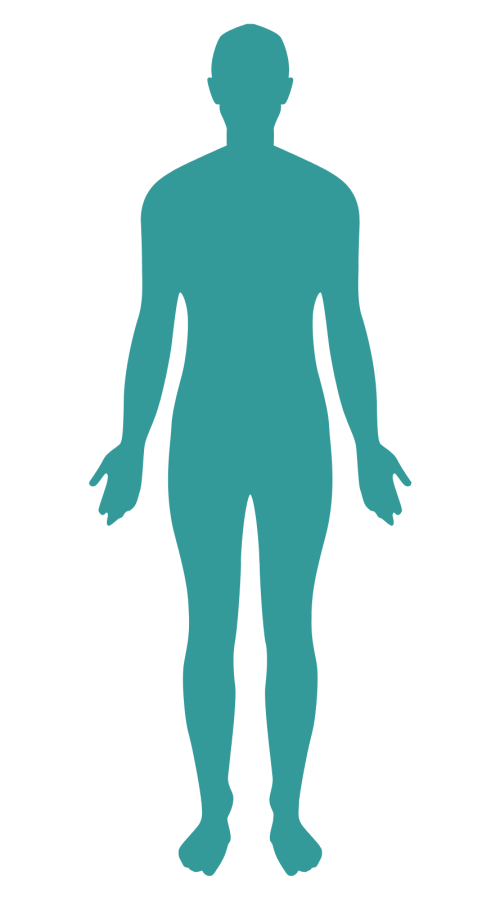 Corpo umano massoterapia