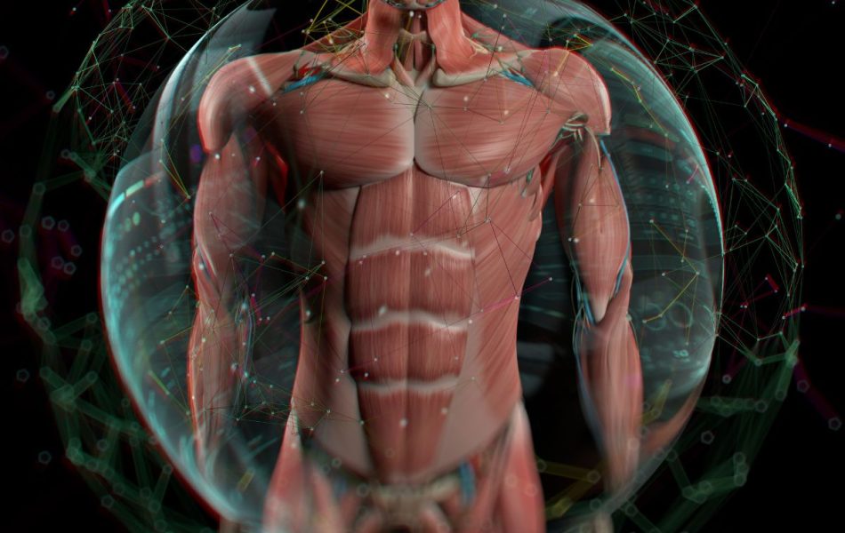 patologie muscolari patologie muscolari